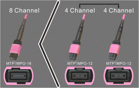 MPO-16 → 2×MPO-12 - MPO-16(8-kênh) sang 2xMPO-12(4-kênh)